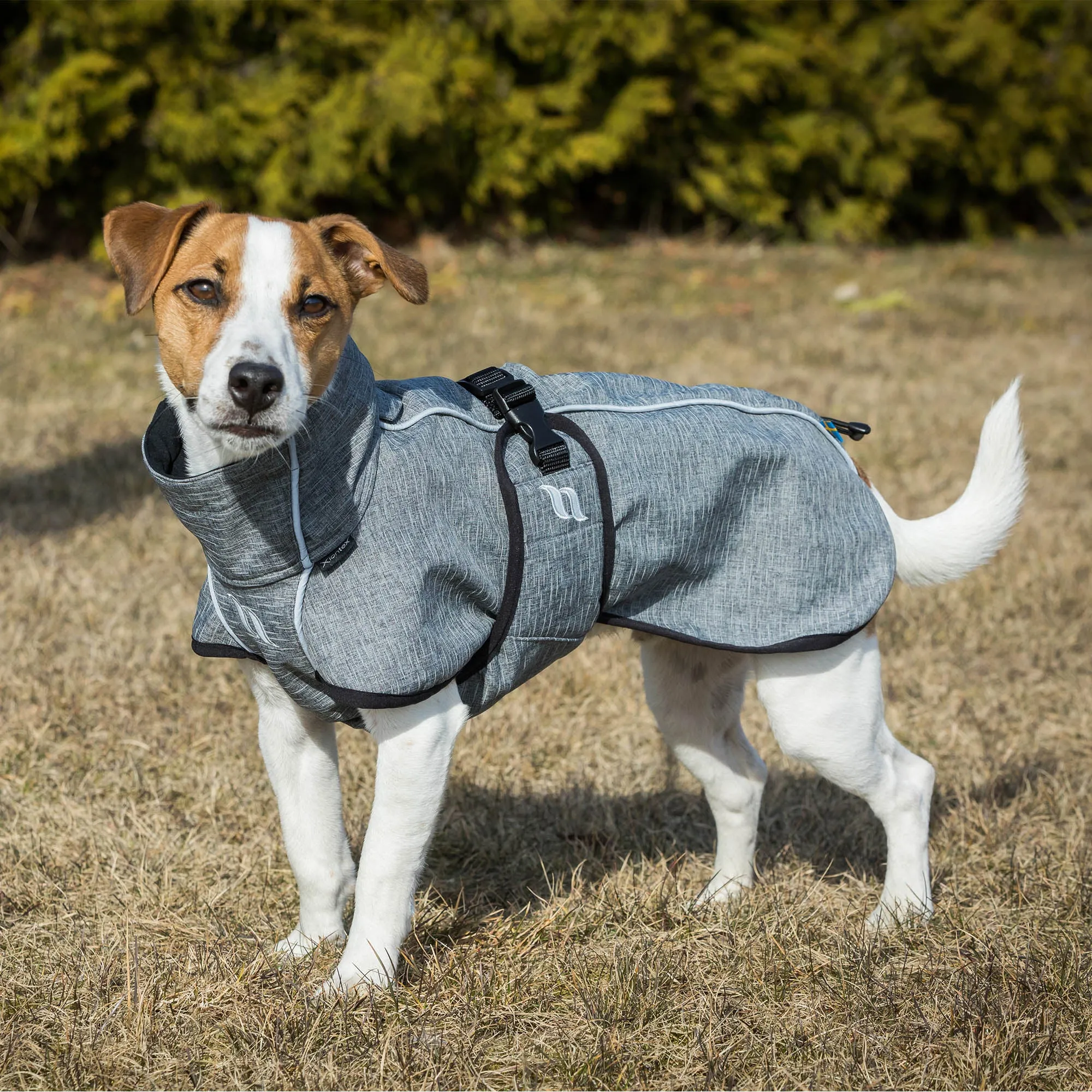 Bark All-Around Dog Coat - For High Tail Set Dogs