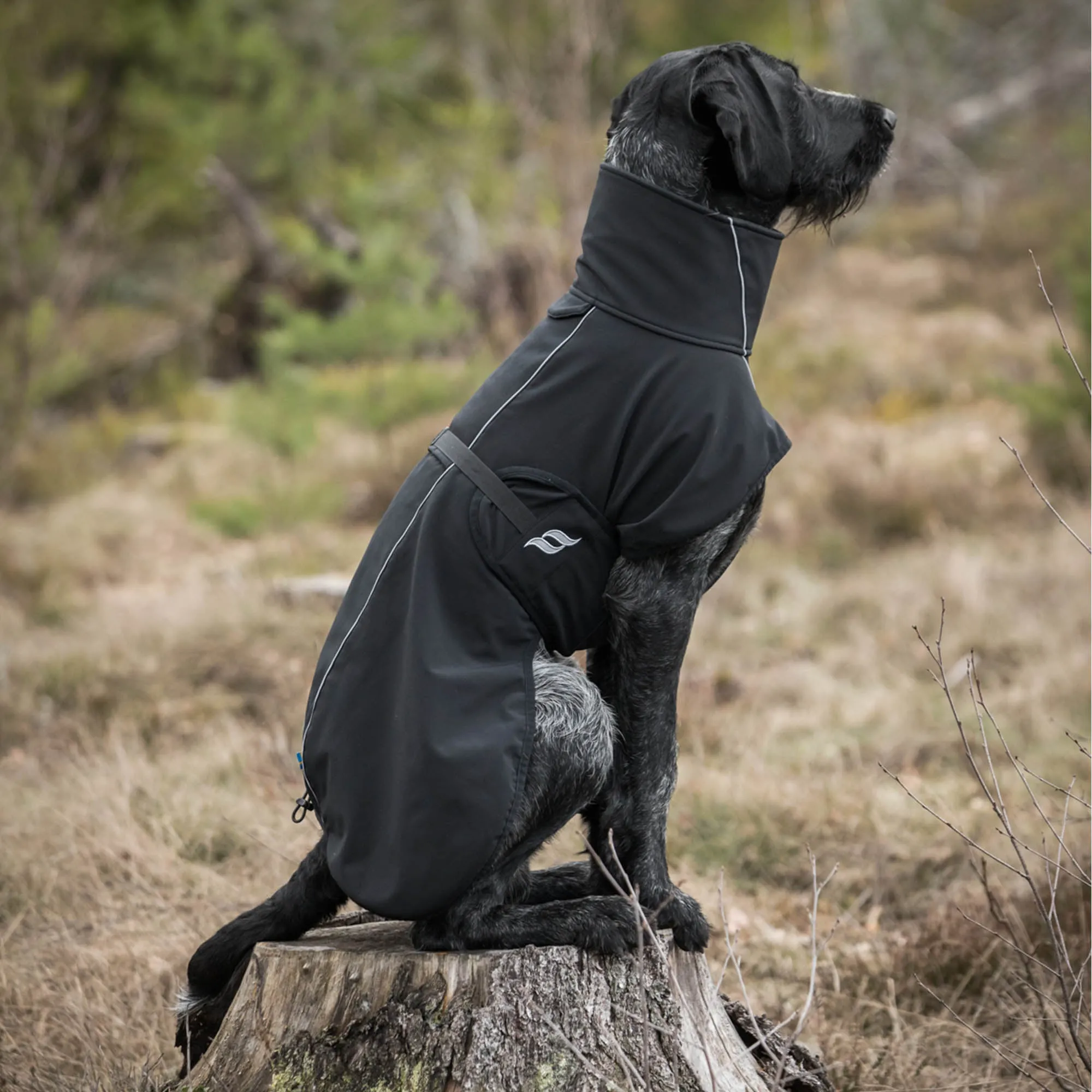 Bark All-Around Dog Coat - For High Tail Set Dogs