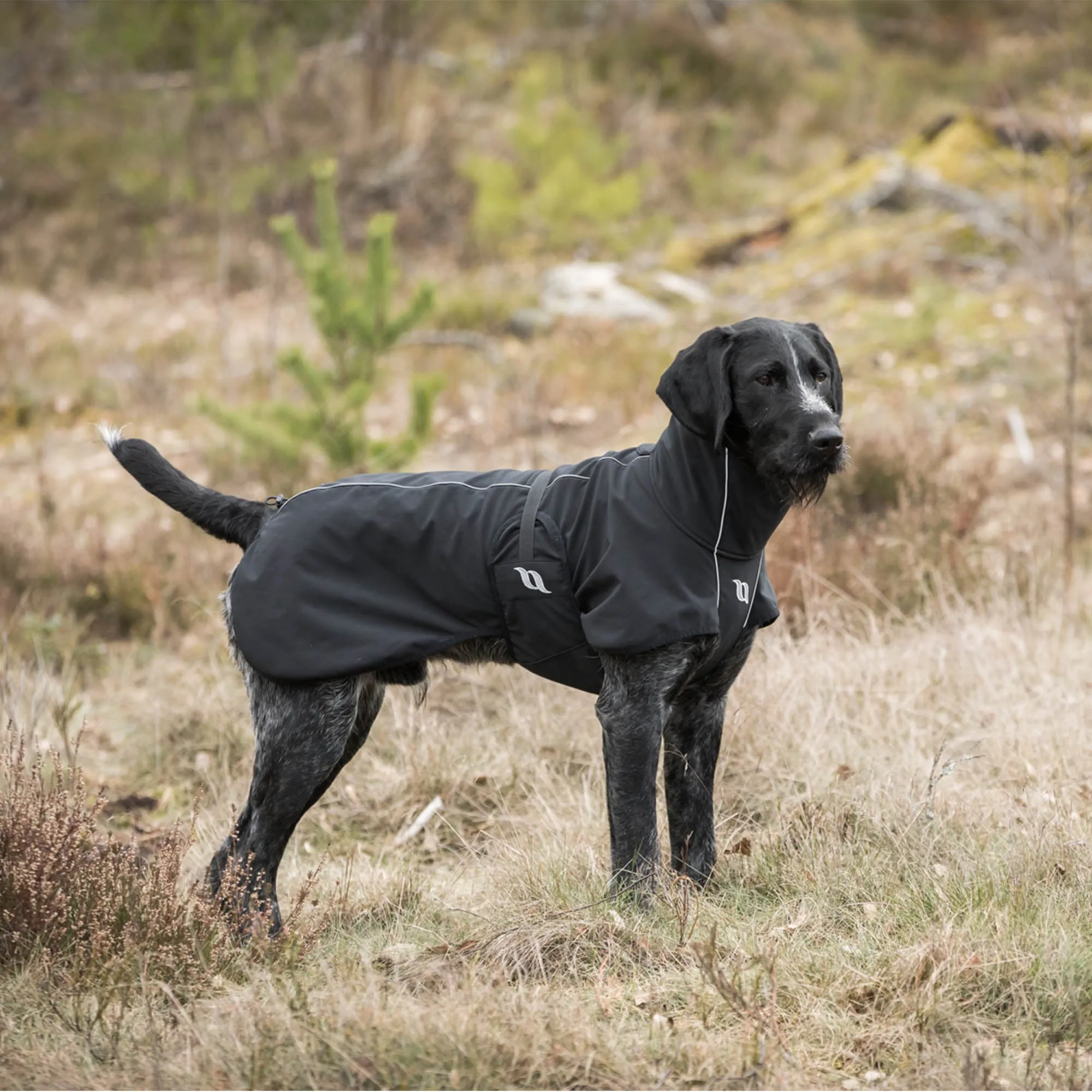 Bark All-Around Dog Coat - For High Tail Set Dogs