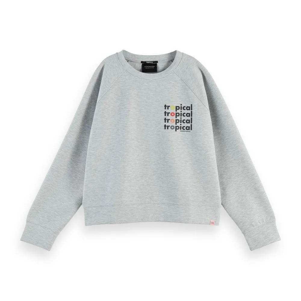 Graphic Crew Neck Sweater (Grey)