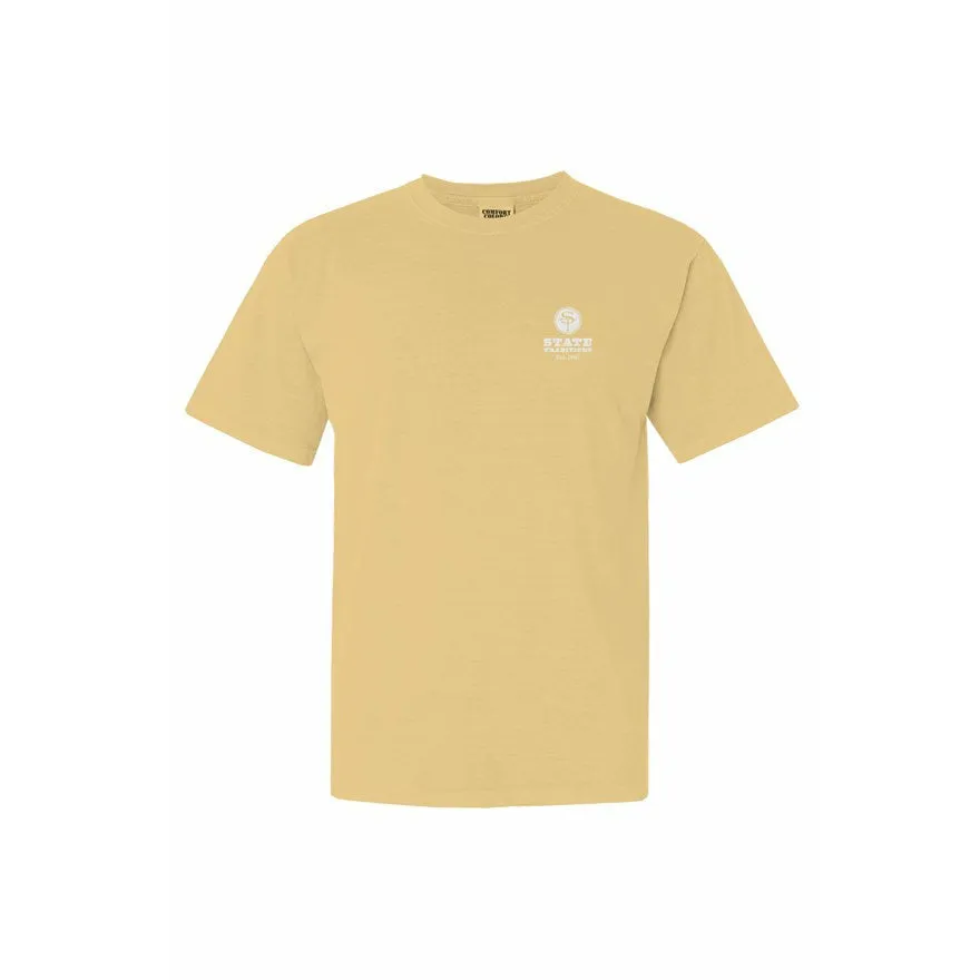 Mississippi Hattiesburg Gameday T-Shirt Grey and Gold